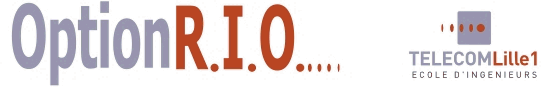 Logo Option RIO
